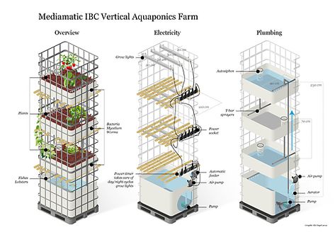 Mediamatic's Vertical Aquaponics Farm - Mediamatic Commercial Aquaponics, Aquaponics Greenhouse, Backyard Aquaponics, Aquaponics Fish, Aquaponics Diy, Aquaponic Gardening, Vertical Farming, Aquaponics System, Growing Fruit