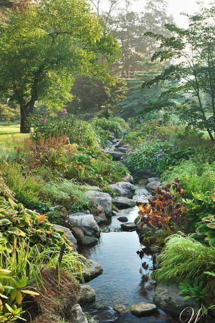 Backyard Stream, Japanese Rock Garden, Fairytale Garden, Modern Landscape Design, Traditional Landscape, Have Inspiration, Plants And Flowers, Garden Features, Gorgeous Gardens