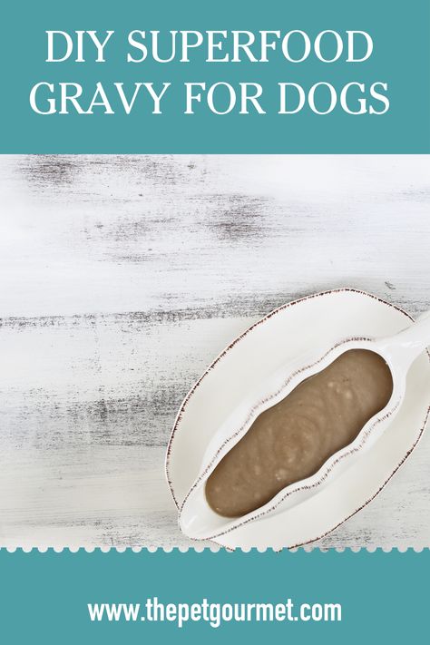 Don't leave your dog out on all the delicious food this Thanksgiving! We have an easy Superfood Gravy Recipe for you to top your dog's The Pet Gourmet food with! This way, you'll be right on top of their grateful list! I'm sure you always are but let's just guarantee it! Homemade Gravy For Dog Food, Dog Friendly Gravy, Healthy Dog Gravy Recipe, Gravy For Dog Food, Diy Dog Gravy, Gravy For Dogs Homemade, Dog Food Gravy Recipe, Gravy For Dogs, Simple Gravy Recipe