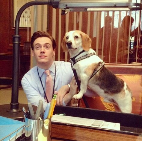 "Last week on the #MadamSecretary set, we had dog auditions for an upcoming episode. While this pooch didn't get the gig. He sure was cute!" Erich Bergen Instagram Erich Bergen, Madame Secretary, Madam Secretary, Comfort People, Bergen, Broadway, Media, Dogs, Instagram