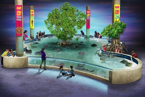 Stingray touch pool concept art designed by Chris Barela Zoo Ideas, Zoo Concept Art, Touch Pool Aquarium, Planet Zoo Tropical Entrance, Fantasy Aquarium Concept Art, Planet Zoo Aquatic, Planet Zoo Rhino Habitat, Planet Zoo Wetlands, Zoo Boo