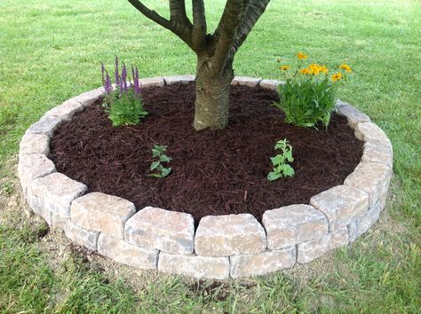 Cheap Landscaping Ideas, Raised Flower Beds, Front Garden Landscape, Front Yard Landscaping Ideas, Yard Landscaping Ideas, Have Inspiration, Home Landscaping, Garden Yard Ideas, Front Yard Garden