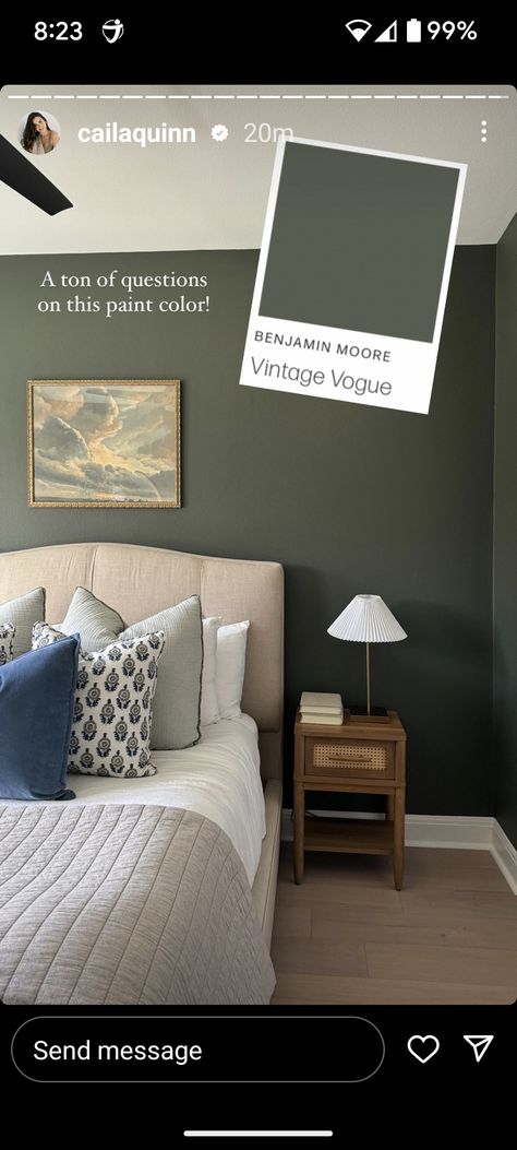 Army Green Benjamin Moore, Expensive Looking Paint Colors, Vintage Vogue Bedroom, Pewter Green Walls, Green Primary Bedroom Ideas, Benjamin Moore Boreal Forest, Masculine Office Paint Colors, Pewter Green Bedroom, Green Paint Bedroom