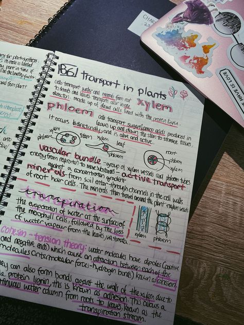 Transport In Plants Notes, Plant Nutrition Biology Notes, Transport In Plants Biology Notes, Transport In Plants, Cell Biology Notes, Studying Ideas, Note Inspiration, Biology Aesthetic, Aesthetic Study Motivation