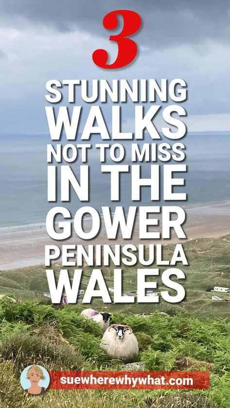 3 Amazing Walks in the Gower Peninsula – Discovering South Wales Gower Peninsula Wales, Rhossili Bay, Wales Beach, Gower Peninsula, Wales Travel, United Kingdom Travel, Visiting England, Wales Uk, Hiking Destinations