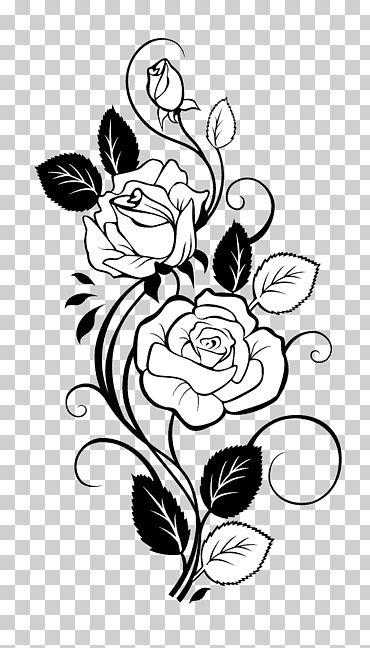 Roses Border Drawing, Black Rose Vine Tattoo, Rose Vine Drawing Simple, Rose Pictures Drawing, Rose Leaves Drawing, Rose Leaf Drawing, Rose Vine Drawing, Watercolor Art Inspiration, Line Art Romantic