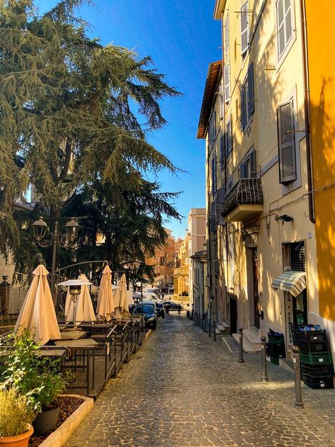 Beatufiul Italian street located in Frascati, Italy. If you want to read up on an amazing food excursion I had while there (I've also linked to how you can book it yourself) click below! Italian Street Food, Italian Street, Around The World In 80 Days, Ancient City, Food Experiences, Great Food, Food Culture, Quick Guide, Ancient Cities