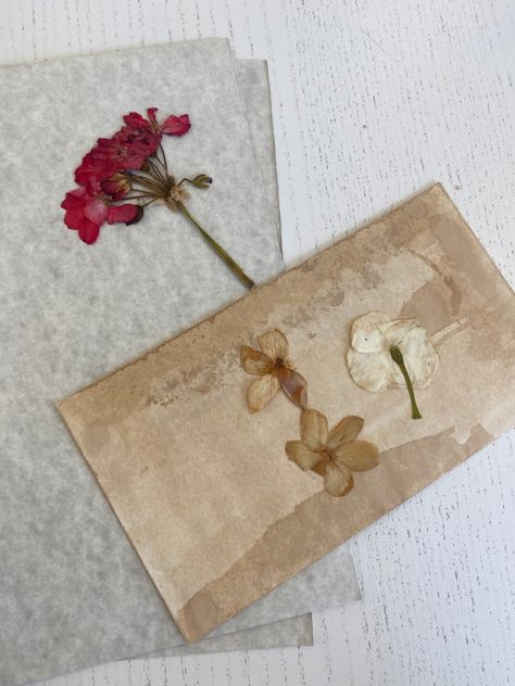 cartas con flores secas estilo vintage Crushed Flowers Aesthetic, Love Letter With Flowers Aesthetic, Dried Flowers Letter, Dried Roses Aesthetic Dark, Dried Flower Journal Page, Pressed Flower Art, Letter S, Vintage Aesthetic, Dried Flowers