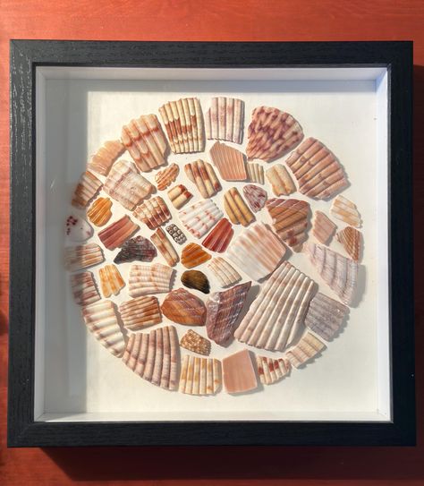 Mosaic Shell Art, Capiz Shell Art, Shell Artwork Ideas, Broken Shells Ideas, Sea Shell Crafts Seashell Art Ideas, Broken Shell Crafts, Shell Shadow Box Ideas, Shell Display Ideas, Sea Shell Art Projects