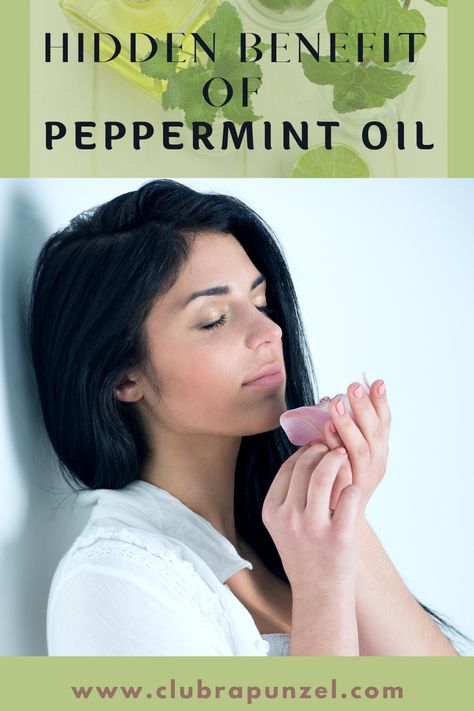 Peppermint oil has benefits to your skin, scalp and senses. Peppermint Water, Peppermint Oil Uses, Peppermint Tea Benefits, Herbs For Hair Growth, Ayurvedic Hair Care, Hair Tea, Herbs For Hair, Ayurvedic Hair, Water Benefits