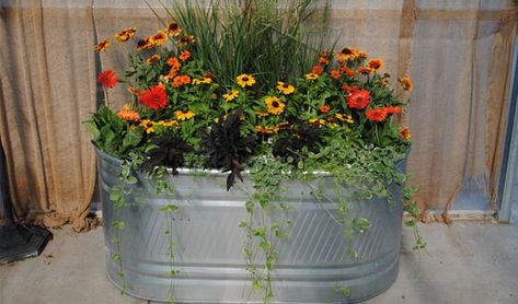 Stock Tank Planter, Stock Tank Gardening, Metal Tub, Backyard Garden Layout, Rustic Planters, Stock Tank, Raised Planter, Low Maintenance Garden, Garden Containers