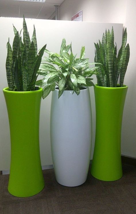 Cement Flower Pots, Small Courtyard Gardens, Flower Pot Design, Concrete Diy Projects, Fiberglass Planters, Front Yard Garden Design, Hanging Plants Indoor, Flower Arrangements Simple, Plant Decor Indoor