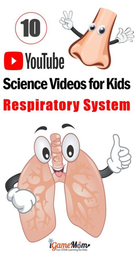 Science Videos on YouTube teaching kids Respiratory System: nose, larynx, trachea, bronchi, and lung; for kids from preschool to high school. Perfect for science class and homeschool, human body unit, physiology. #STEMforKids #iGameMomSTEM #ScienceForKids #ScienceClass #ScienceVideo Respiratory System Activities, Homeschool Anatomy, Activities For Elementary Kids, Human Body Unit Study, Outdoor Science, Science Videos For Kids, Science Apps, Science Video, Human Body Science