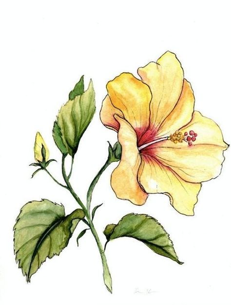 Hibiscus Sketch, Flower Doodle Art, Rose Flowers Drawing, Decoration Craft Ideas, Hibiscus Drawing, Pot Drawing, Hibiscus Flower Drawing, Pencil Drawings Of Flowers, Watercolor Flowers Tutorial