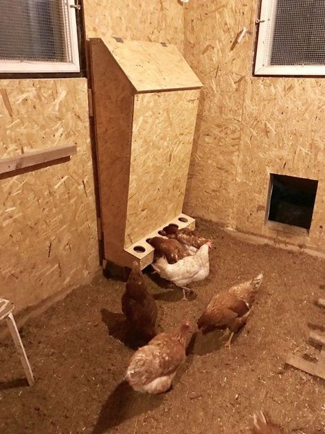 Reban Ayam, Chicken Feeder Diy, Layer Feed, Chicken Poop, Portable Chicken Coop, Chicken Pen, Norwegian Style, Diy Chicken Coop Plans, Chicken Feeders