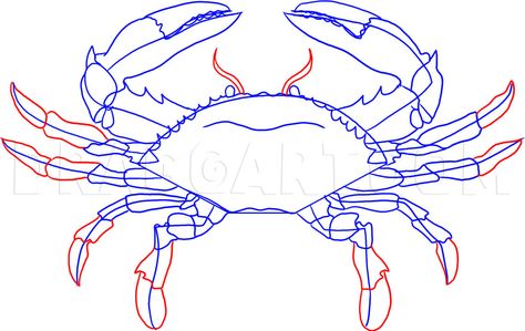 How To Draw A Crab, Step by Step, Drawing Guide, by Dawn | dragoart.com Blue Claw Crab, Blue Crabs Art, Quilling Inspiration, Crab Painting, Sail Ship, Arm Drawing, Blue Crabs, Crab Art, Drawing Lessons For Kids