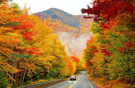 New England White Mountain National Forest, Fall Road Trip, Scenic Road Trip, Road Trip Routes, Leaf Peeping, New England Travel, New England Fall, Scenic Roads, Scenic Byway