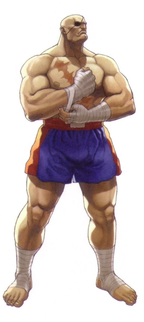 Sagat Street Fighter Art, Sagat Street Fighter, Street Fighter Ex, Video Game Drawings, Street Fighter Video Game, Street Fighter Game, Tekken 3, Street Fighter Alpha, Street Fighters