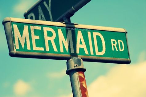 mermaid Mermaid Jokes, How To Believe, Mermaid Kisses, Crossing Sign, Real Mermaids, Sup Yoga, Mermaid Dreams, Mermaids And Mermen, Mermaid Life