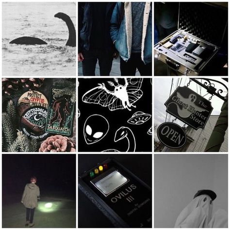 Teenage Ghost Hunters Aesthetic, Cryptid Moodboard, Cryptic Academia, Cryptid Hunter Aesthetic, Ghost Hunter Aesthetic, Best Friend Ghost, Ghost Hunting Aesthetic, Cryptid Aesthetic, Cryptid Academia