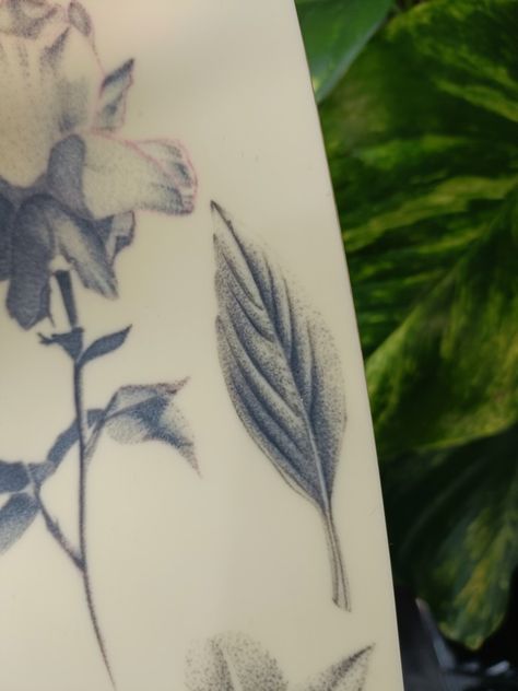 Tattoo dotwork realistic nature basil leaf inspiration tattoos Fake Skin Tattoo, Micro Realism, Leaf Tattoo, Skin Tattoo, Fake Skin, Tattoo Practice, Basil Leaf, Realistic Tattoo, Tattoo Inspo