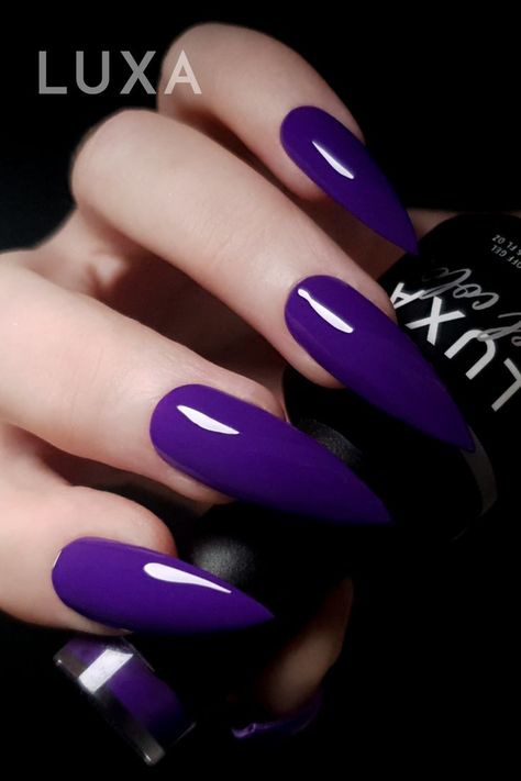 dark purple gel nail polish color pictured on a long stiletto set Purple Stilleto Nails, Glossy Gel Nails, Purple Stiletto Nails, Hollywood Nails, Dark Purple Nails, Stilleto Nails Designs, Pointy Nails, Purple Nail Designs, Dark Nails