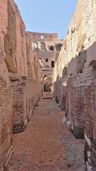 The Colosseum Rome, Colosseum Rome, The Colosseum, The Underground, Ancient Rome, Rome, History