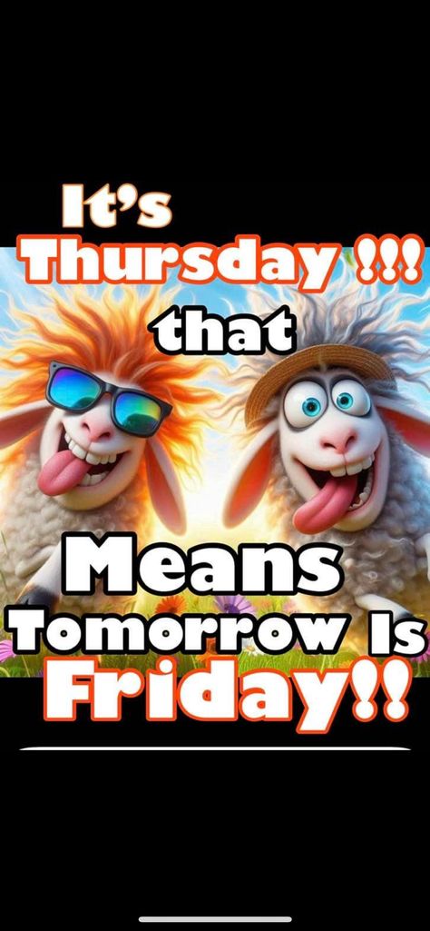 Thursday Humor Funny Mornings, Thursday Humor Funny Hilarious, Happy Thursday Funny, Good Morning Thursday Funny, Funny Thursday Images, Funny Good Morning Greetings, Crochet Pictures, Happy Thursday Images, Its Only Tuesday