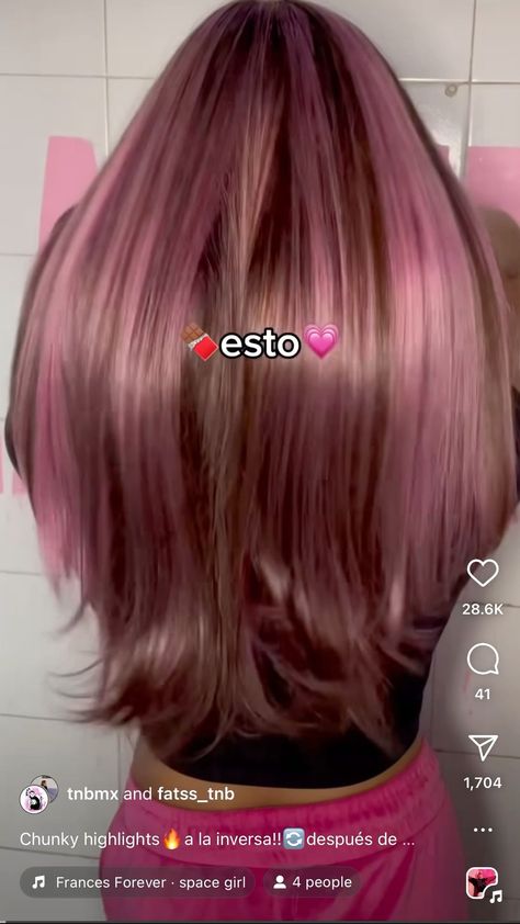 Gorgeous Underneath Hair Color Ideas for All Lengths Pink Hair With Brown Highlights, 1 Streak Of Color In Hair, Pink Brown Blonde Hair, Light Pink Chunky Highlights, Light Pink Streaks In Brown Hair, Light Pink Highlights In Black Hair, Brown Hair Pink Tips, Brown Hair With Pink Tips, Neapolitan Hair Color