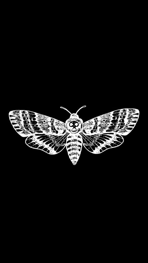 Deathmoth Wallpapers, Moth Aesthetic Dark, Wallpaper For Iphone Black, Witchcore Wallpaper, Imvu Clothes, Shuffle Ideas, Moth Wallpaper, Bugs Life, Fav Products