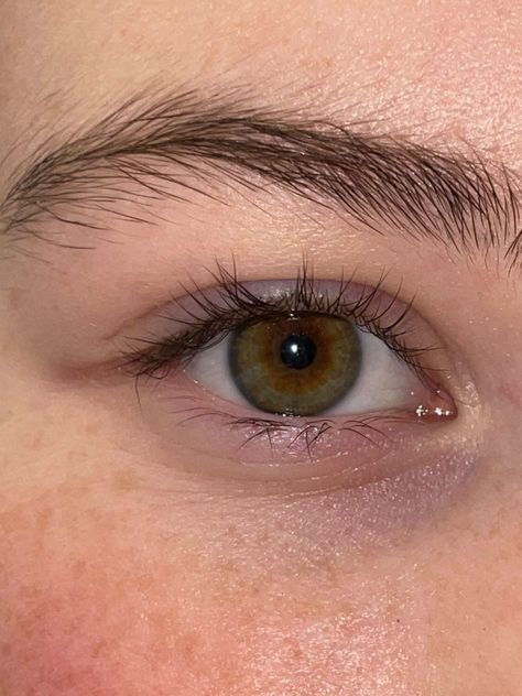 Brown And Green Heterochromia, Green Brown Heterochromia, Central Heterochromia, Hazel Green Eyes, Hazel Green, Gray Eyes, Green Eyes, Green And Brown, Green And Grey