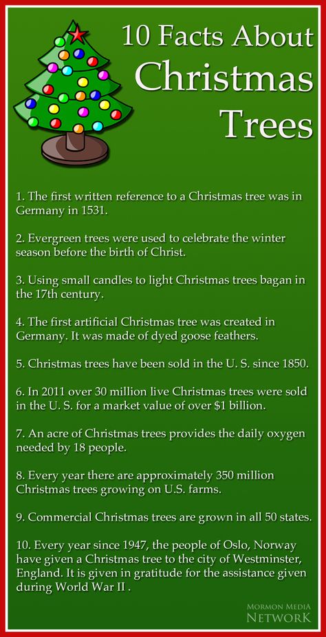 Mormon Media Network Christmas, Facts about Christmas Trees -- image by: wikimedia commons, Bartekbas History Of The Christmas Tree, Christmas Facts Interesting, Christmas Tree Farm Activities, Christmas Facts For Kids, Christmas Fun Facts, Christmas Legends, Christmas Facts, History Of Christmas, Christmas Information