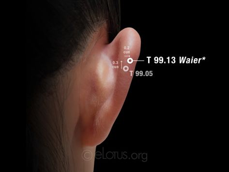 Waier (T 99.13)* | Master Tung's Acupuncture | eLotus CORE Master Tung Acupuncture, Acupuncture Point, Acupuncture Points, Acupressure, Acupuncture, The Master, Quick Saves