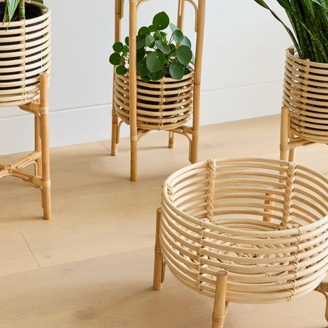 Indoor Plant Decor Ideas, Island Apartment, Rattan Plant Stand, Rattan Art, Indoor Plant Ideas, Plant Decor Ideas, Wedding Dining Decor, Wall Hanging Decorations, Easy Indoor Plants