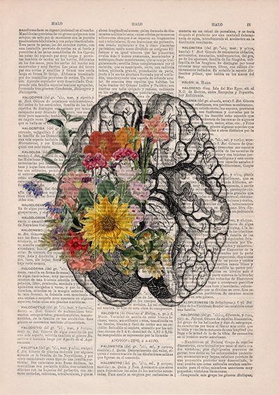 Kunst Collages, Flower Anatomy, Brain Poster, Brain Art, The Human Brain, Human Anatomy Art, Medical Art, Human Brain, Arte Fantasy