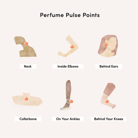 Perfume Tips, Perfume Men, Perfume Women, Scent Perfume, Pulse Points, Beautiful Perfume, Best Perfume, Citrus Scent, Spring Is Here