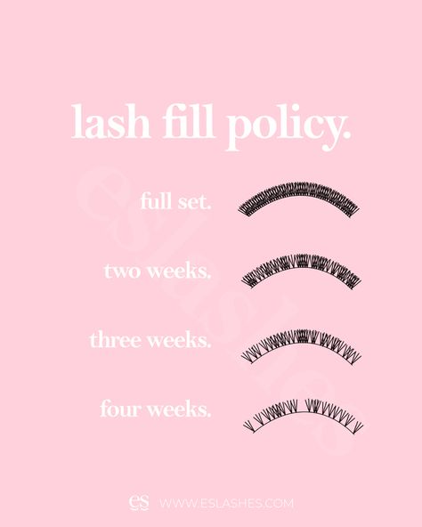 Image showing how many lash extensions fall out each week and why lash fills are needed every 2-3 weeks Lash Fill Policy, How To Get Lash Clients, Lash Prices List, Lash Fills 40%, Lash Extension Policies, Lash Tech Policy, Lash Extension Fill, Lash Policies, Lash Fills