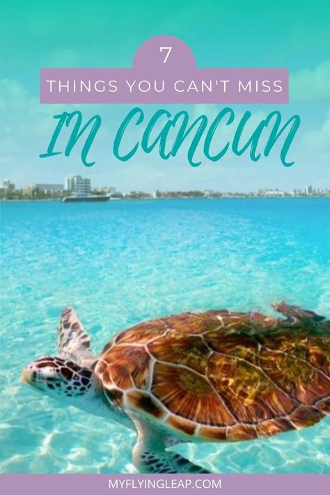 If you're looking for things to do in Cancun for all ages, check this complete guide for all the best activities for kids, adults, and couples. Cancun is a great destination in Mexico whether you are traveling solo or with the kids! Check out the best activities for every age in my new guide. What to do | Where to stay | Where to eat #cancun #cancunmexico #visitcancun #cancuntourism #rivieramaya Travel Cancun Mexico, Cancun Activities Things To Do, Cancun Mexico Itinerary, Mexico Things To Do, Cancun Must Do, What To Do In Cancun Mexico, Things To Do In Cancun Mexico, Cancun With Kids, Cancun Family Vacation