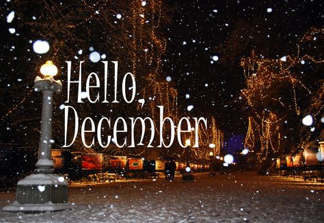 Hello December month december december quotes hello december happy december welcome december December Laptop Wallpaper, Hallo December, Hello December Tumblr, Hello December Images, Hello December Quotes, December Background, Wallpaper Backgrounds Cartoon, December Pictures, December Images