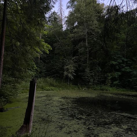 A Quiet Place Aesthetic, Quiet Place Aesthetic, Place Aesthetic, Quiet Girl, A Quiet Place, Mysterious Places, Quiet Place, Beautiful Places In The World, Aesthetic Movies