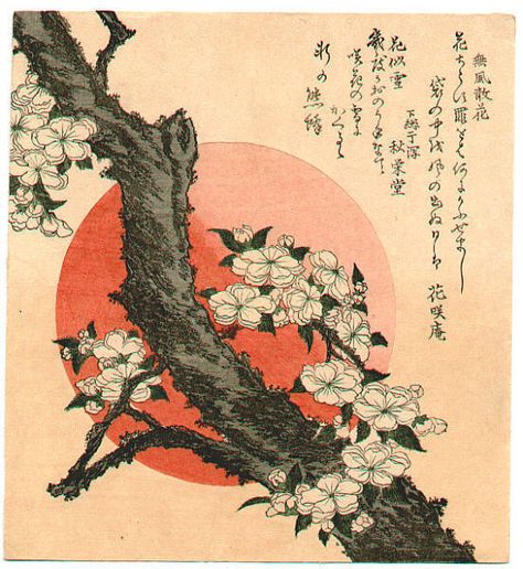 Masterpieces of Japan on Twitter: "Flower by Katsushika Hokusai (1760-1849) #ukiyoe… " Hokusai Paintings, Monte Fuji, Sticker Flower, Japanese Artwork, Japanese Illustration, Katsushika Hokusai, Paul Gauguin, Japanese Flowers, Flower Gifts