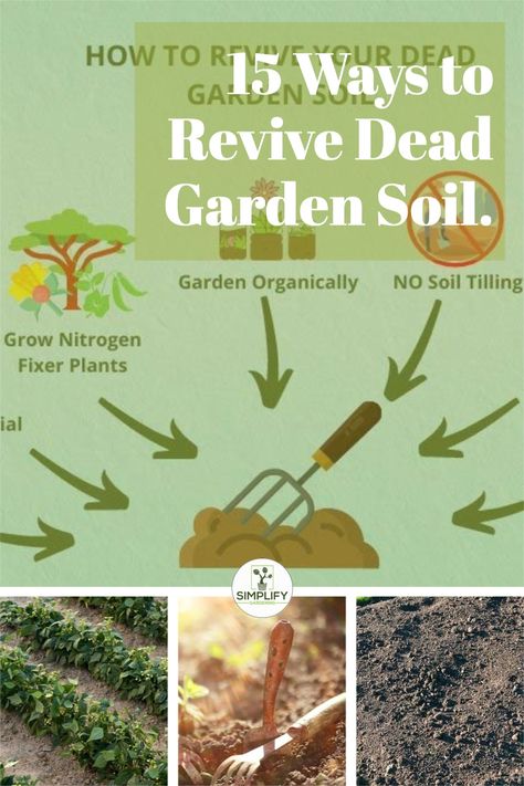 Revive dead garden soil by removing contamination or structural damage agents from the ground, minimizing water loss and nutrient depletion, reviving soil nutrient content and structure, and enhancing soil quality. // Garden Soil // DIY Gardening // Gardening Guide #gardendiy #gardencare #revivedeadsoil Nitrogen Fixing Plants, Organic Liquid Fertilizer, Garden Improvement, Gardening Guide, Healing Garden, Gardening Hacks, Diy Gardening, Frame House, Home Vegetable Garden