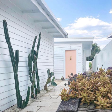 my scandinavian home: Before and After: A Dreamy Beach House On Australia's Gold Coast Palm Springs Exterior, Pineapple Door Knocker, Palm Springs Houses, Before And After Transformation, My Scandinavian Home, Dreamy Beach, Red Brick House, Pink Door, Pink Tiles