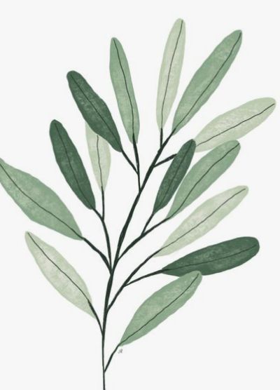 Olive Branch Illustration, Landscape Simple, Branch Illustration, Olive Branch Tattoo, Digital Illustration Tutorial, Illustration Landscape, Illustration Botanical, Fashion Illustration Watercolor, Watercolor Fashion