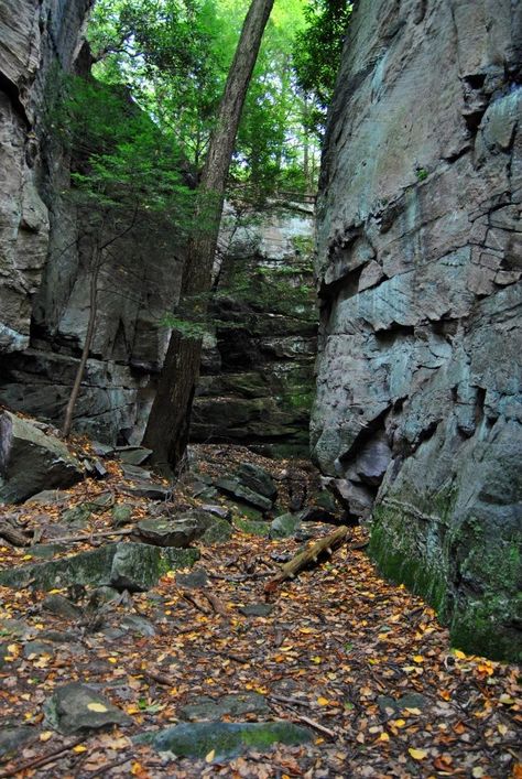 Rock climbing at Coopers Rock, Morgantown, West Virginia Nelson Rocks West Virginia, West Virginia Wallpaper, West Virginia New River Gorge, Morgantown West Virginia, Coopers Rock, West Virginia Waterfall Trail, Country Roads Take Me Home, Colorful Trees, Take Me Home