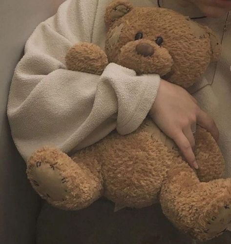 Teddy Bear Aesthetic, Bear Aesthetic, Teddy Bear Doll, Teddy Bear Plush, Bear Doll, Bear Plush, Plush Toy, Teddy Bear