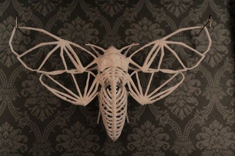 Moth Skeleton Tattoo, Moth Skeleton, Moth Sculpture, Insect Sculpture, 3d Drawing Pen, Dark Fae, Silk Moth, Moth Drawing, Deaths Head