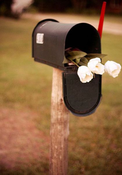 Country Mailbox, Rural Mailbox, Wedding Readings, You've Got Mail, Brown Eyed Girls, White Tulips, Letter Box, Pics Art, Mailbox