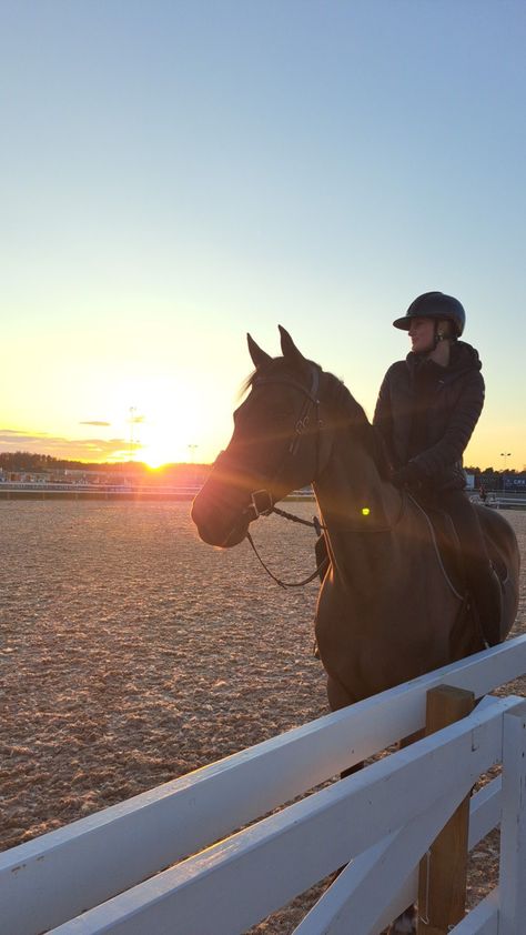 Beige Horse Aesthetic, Aesthetic Horse Riding Pics, Working With Horses Aesthetic, Horse Riding Astethic, Riding A Horse Aesthetic, Horse Asethic Pictures, Equestrian Life Aesthetic, Aesthetic Horseriding, Riding Horses Aesthetic