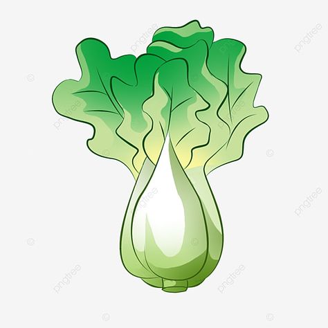 Cabbage Cartoon, Healthy Vegetable Salad, Restaurant Promotions, Healthy Restaurant Food, White Cabbage, Cartoons Hd, Cute Png, Green Watermelon, Simple Texture